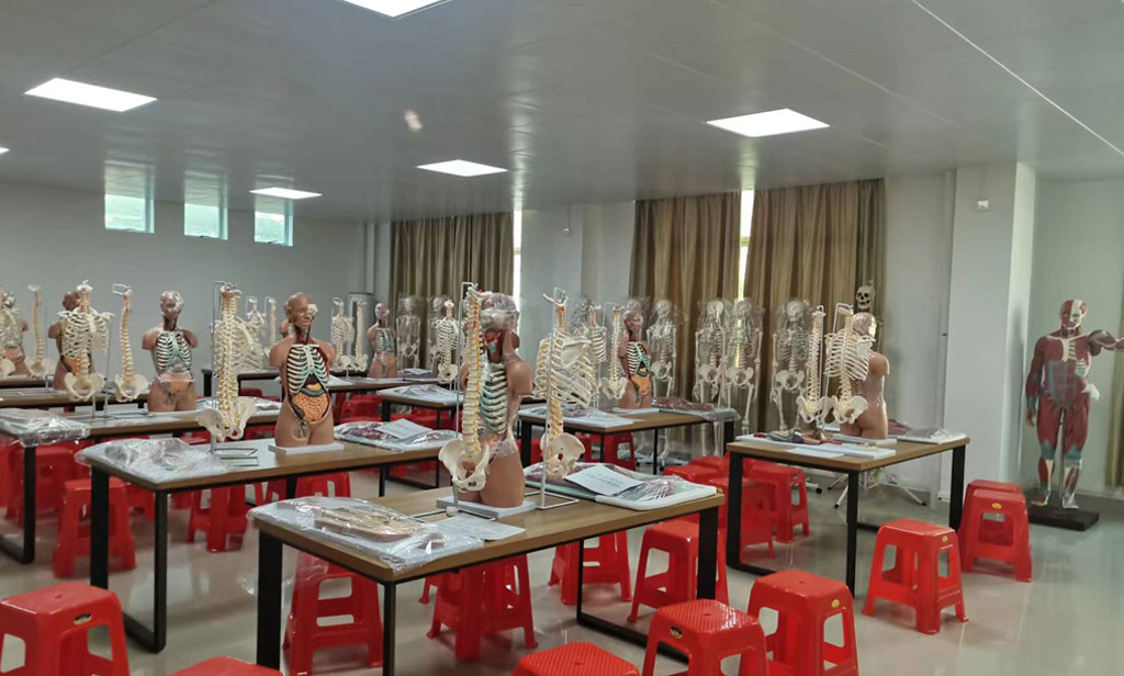 健康产业学院参观学习交流