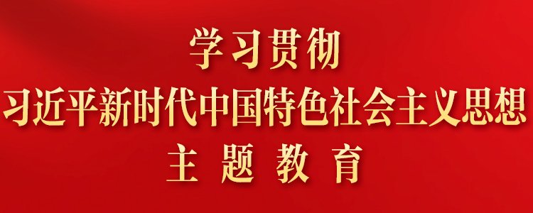 开展学习贯彻习近平新时代中国特色社会主义思想主题教育有关做法摘编（二）