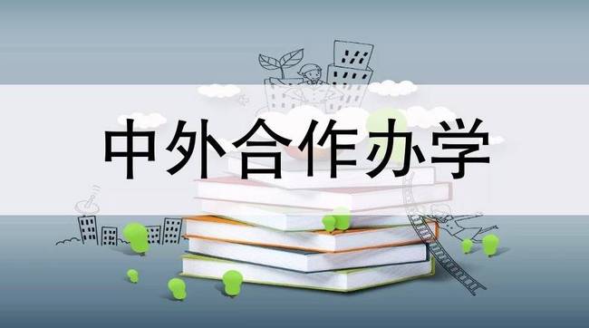 这十年，中外合作办学交出满意答卷