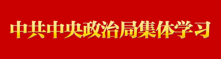 习近平在中共中央政治局第十五次集体学习时强调 贯彻落实新时代党的建设总要求 进一步健全全面从严治党体系